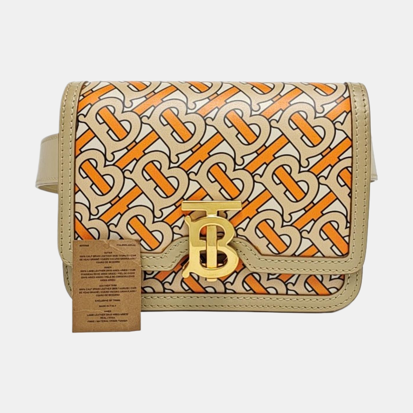 Authenticated pre-owned  Tb Mini Calfskin Multicolor - Belt Bag at Looply
