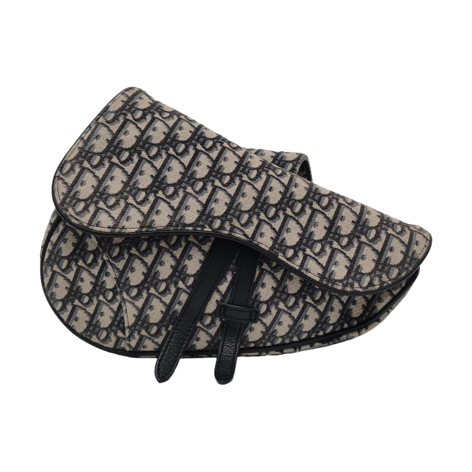 Dior Saddle Medium Oblique Canvas Beige - Image 1