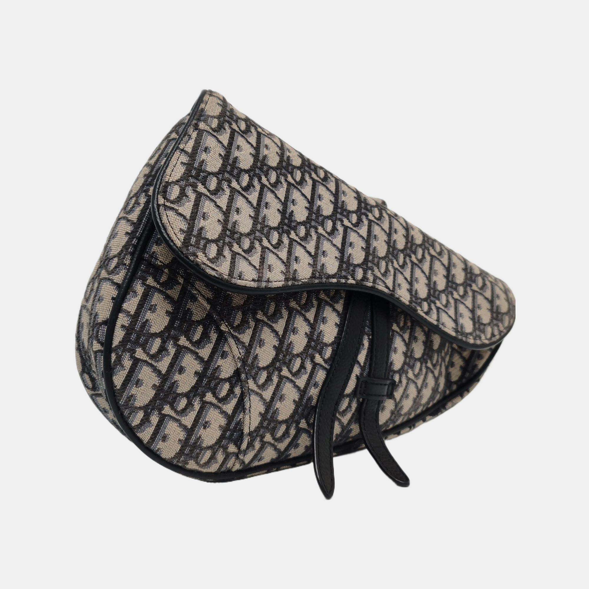 Dior Saddle Medium Oblique Canvas Beige - Image 4
