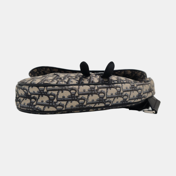 Dior Saddle Medium Oblique Canvas Beige - Image 6