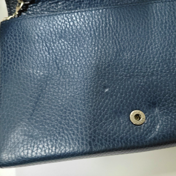 Authenticated pre-owned  Dionysus Super Mini Calfskin Blue - Shoulder Bag at Looply
