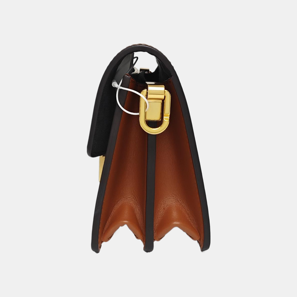 DAUPHINE Mini Coated Canvas Brown