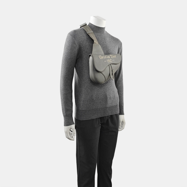 Dior And Shawn Calfskin Gray
